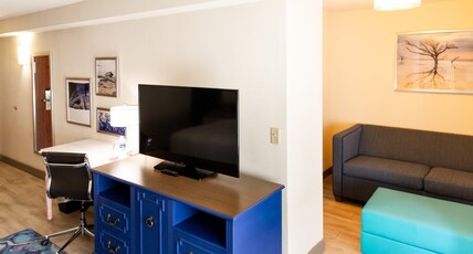 Hotel Indigo Mount Pleasant Room Type - Premium King