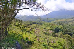 Eleganthomestaykeezathoor