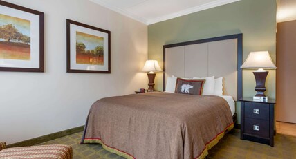 Best Western Plus White Bear Country Inn Room Type - Accessible - 1 Queen, Mobility Accessible, Communication Assistance, Roll In Shower, Microwave And R Best Western Plus White Bear Country Inn Room Type - Accessible - 1 Queen, Mobility Accessible, Communication Assistance, Roll In Shower, Microwave And R
