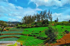 Peace Ark Hill View