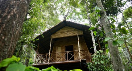 Adrak Mountain Mist Forest Resort Room Type - Elevated Bamboo Hut