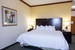 Hampton Inn by Hilton Alice