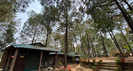 PINE WOOD NIRVANA Room Type - Luxury Swiss Tents