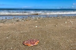 Exceptional 5 bedroom house near the beach