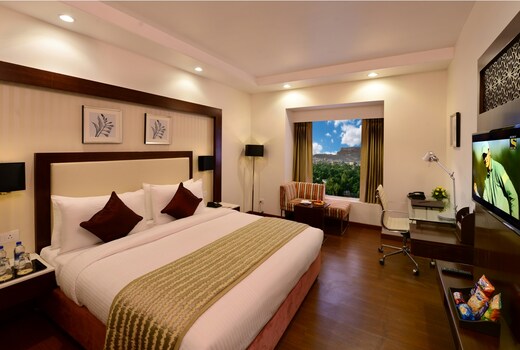 Lords Inn Jodhpur