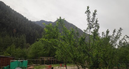 Area51kasol Room Type - Area51kasol