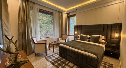 Ausnya Tirthan Room Type - Wildflower Nook