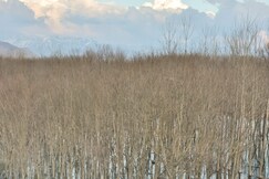 Hotel Kashmir Residency