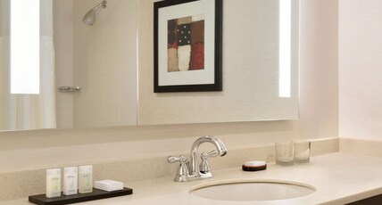 Embassy Suites Chicago - North Shore/Deerfield Room Type - 1 KING 1 BDRM STE NONSMOK