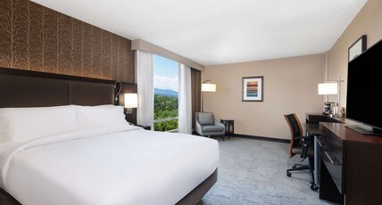 DoubleTree by Hilton Denver Cherry Creek Room Type - 1 QUEEN BED W MOUNTAIN VW