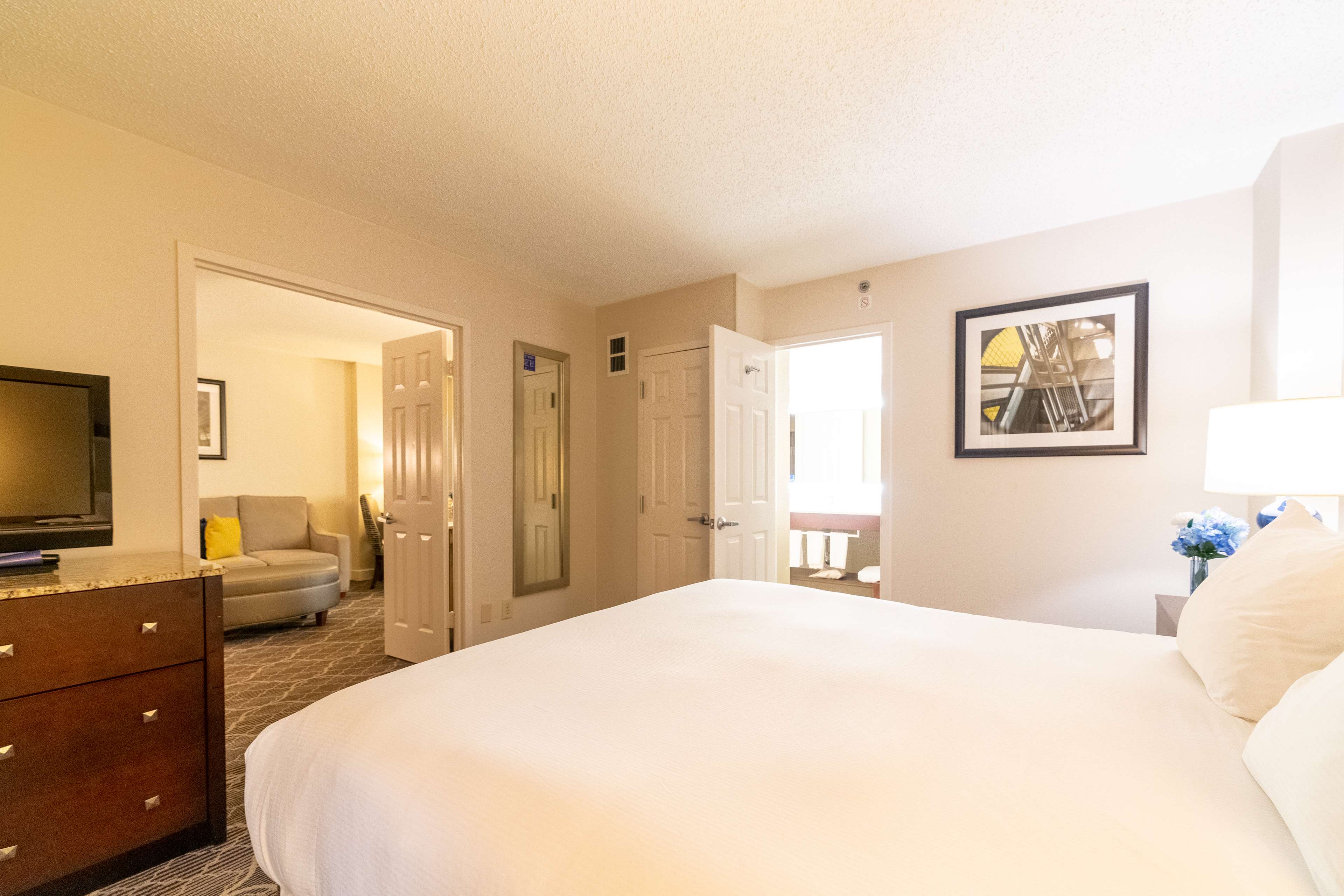 DoubleTree Suites by Hilton Atlanta - Galleria - Tap to explore photos