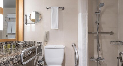Ankara Hilton Room Type - KING ACCESSIBLE ROOM