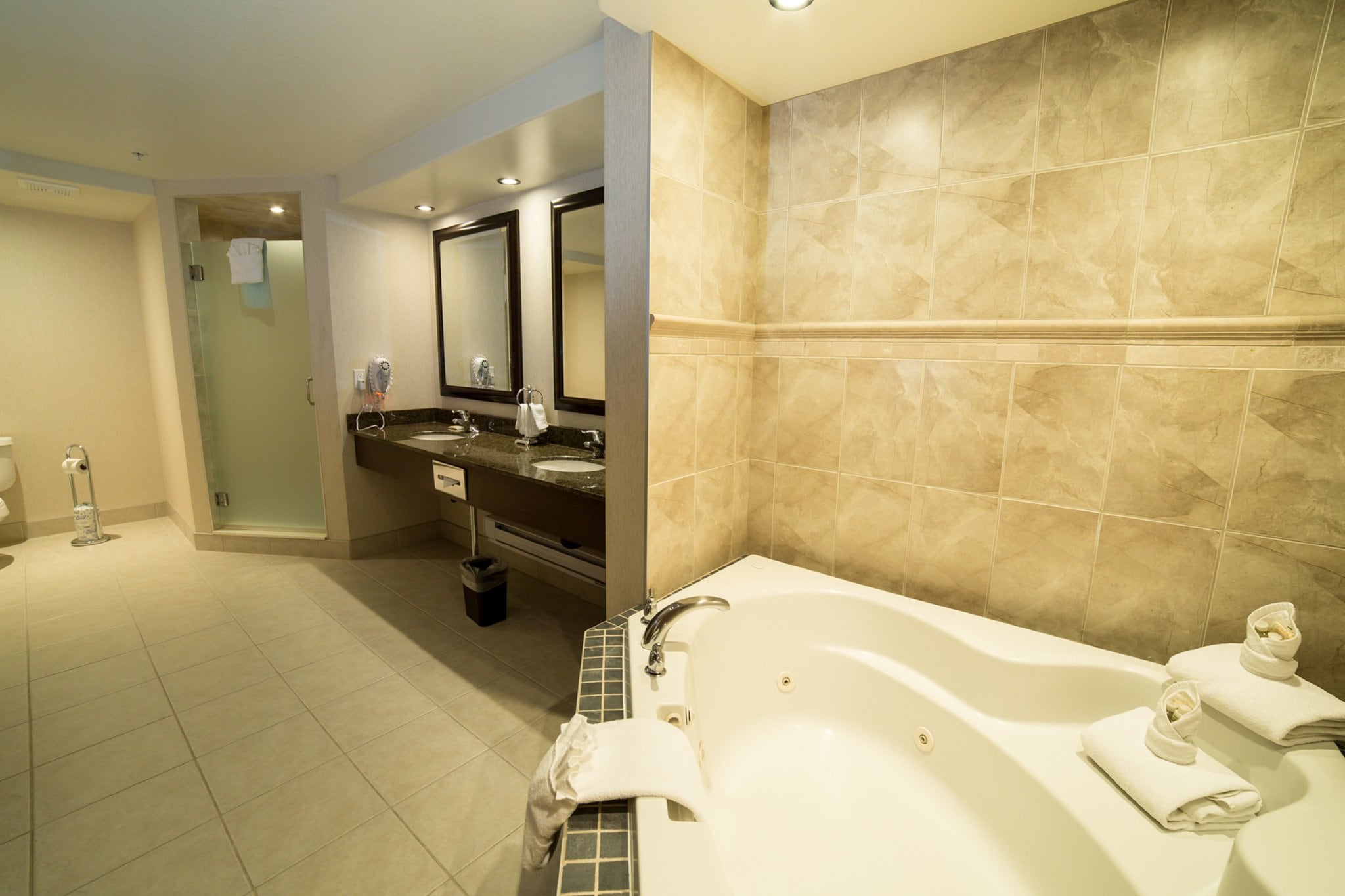 Holiday Inn & Suites WEST EDMONTON - Tap to explore photos