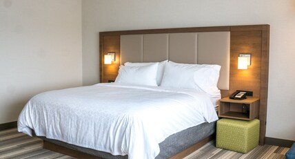 Holiday Inn Express & Suites BRANDON Room Type - 1 King Standard Mobility Accessible Roll In Shower Holiday Inn Express & Suites BRANDON Room Type - 1 King Standard Mobility Accessible Roll In Shower