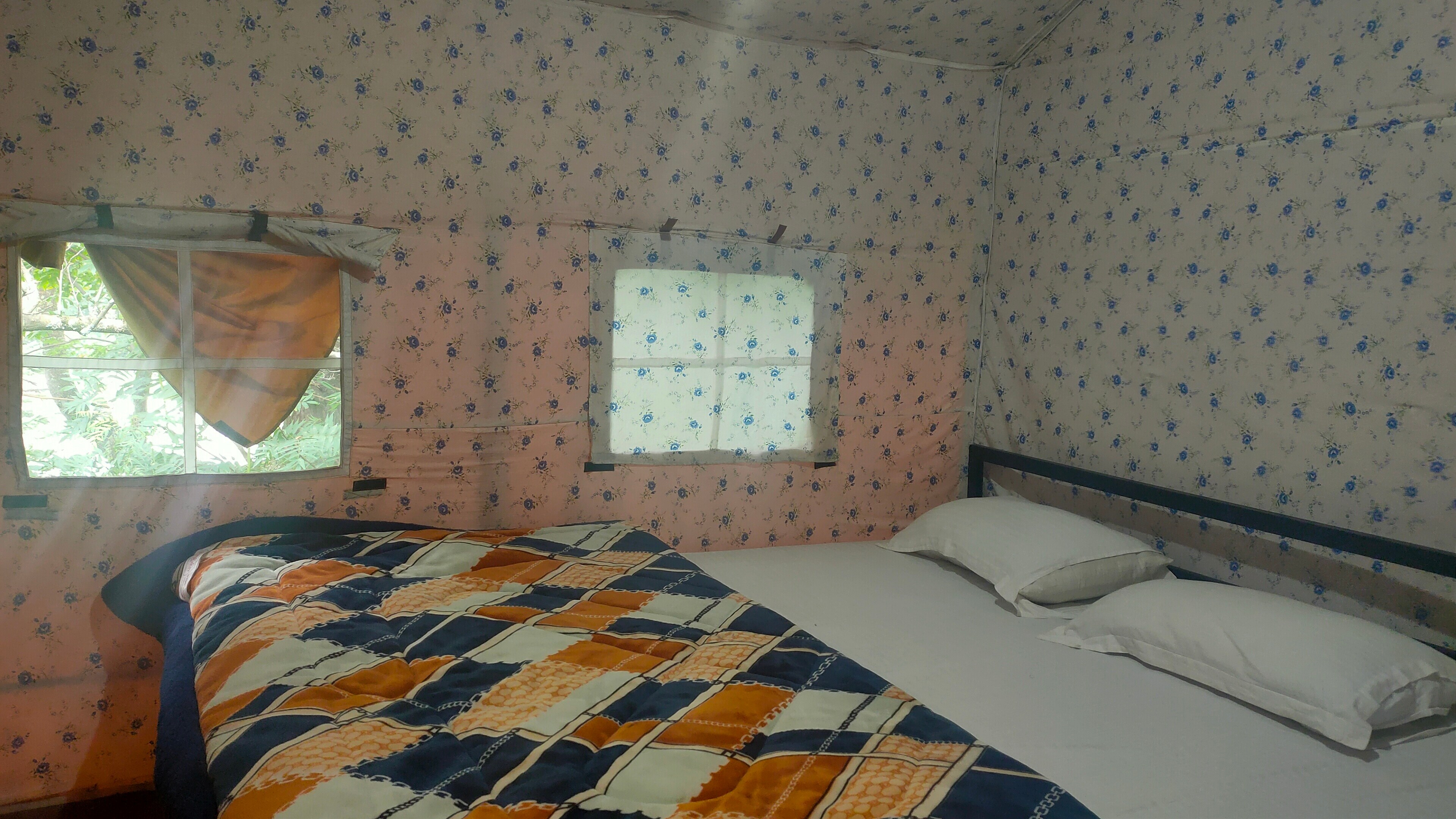 Old manali luxury camps - Tap to explore photos