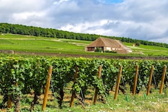 voco BEAUNE, an IHG hotel