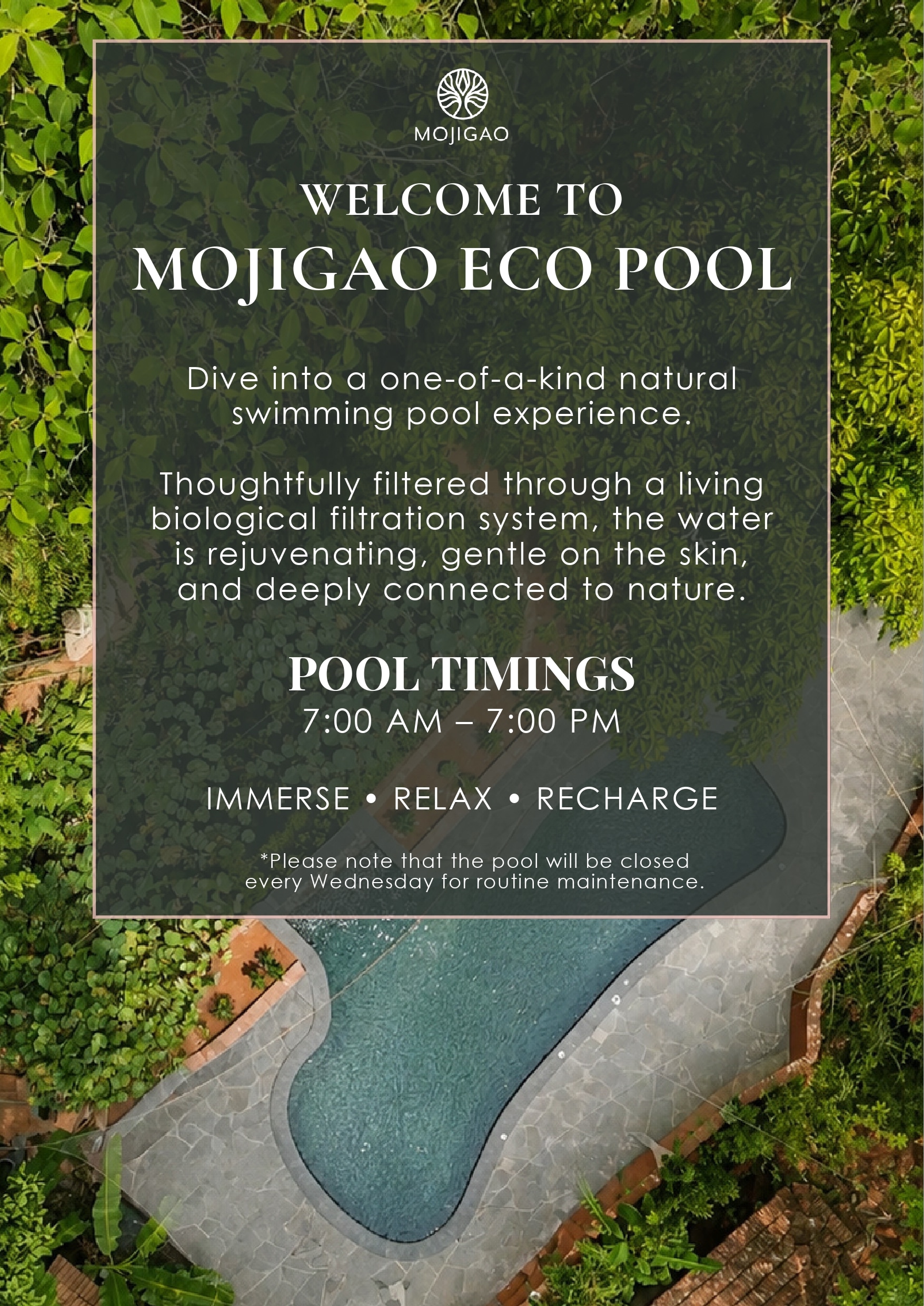 Mojigao Eco Resort | Wellness Retreat & Eco Pool - Tap to explore photos