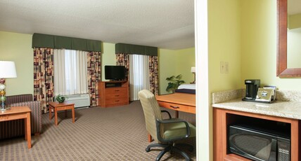 Hampton Inn by Hilton MACOMB Room Type - 1KNG STUDIO SOFABED NOSMOK