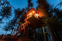Fairytale Treehouse In Fagu