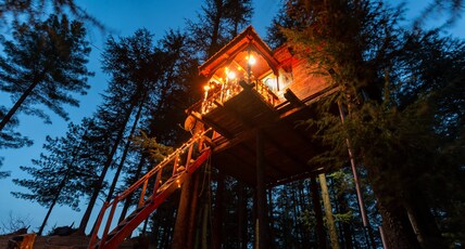 Fairytale Treehouse In Fagu Room Type - Fairytale Treehouse In Fagu