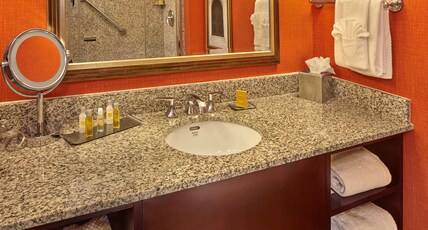 DoubleTree by Hilton Little Rock Room Type - 1 KING W PULLOUT SOFA NS