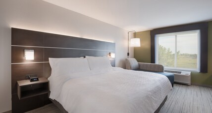 Holiday Inn Express & Suites - Hoffman Estates Room Type - 1 King Standard