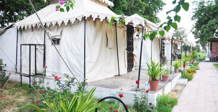 Hotel Padmini - Tap to explore photos