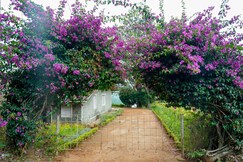 Madupatty Lakeview Cottage