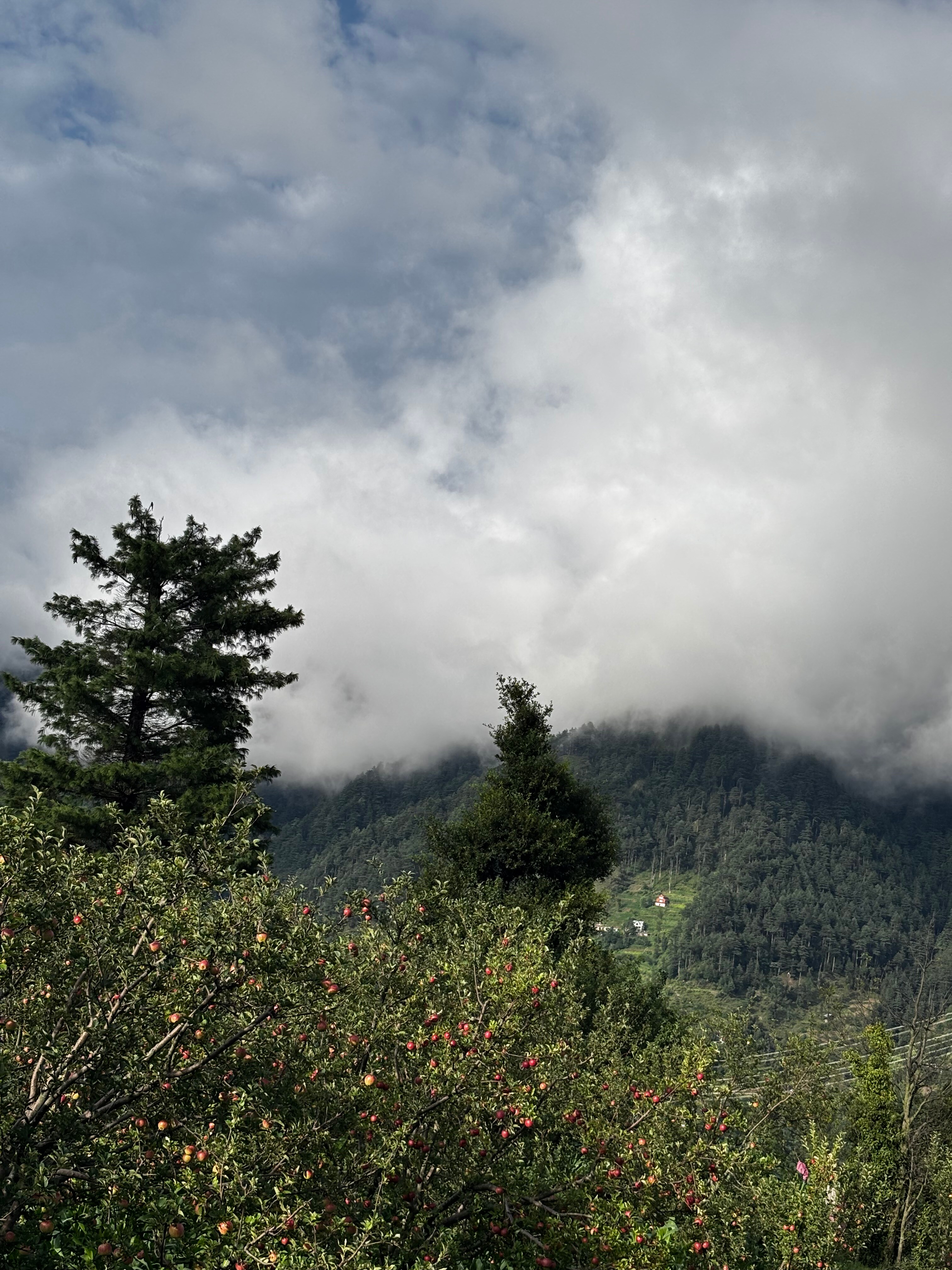 Raina Retreat
Kashmiri Style House - Tap to explore photos