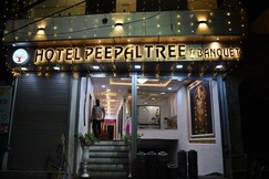 Peepal Tree & Banquet