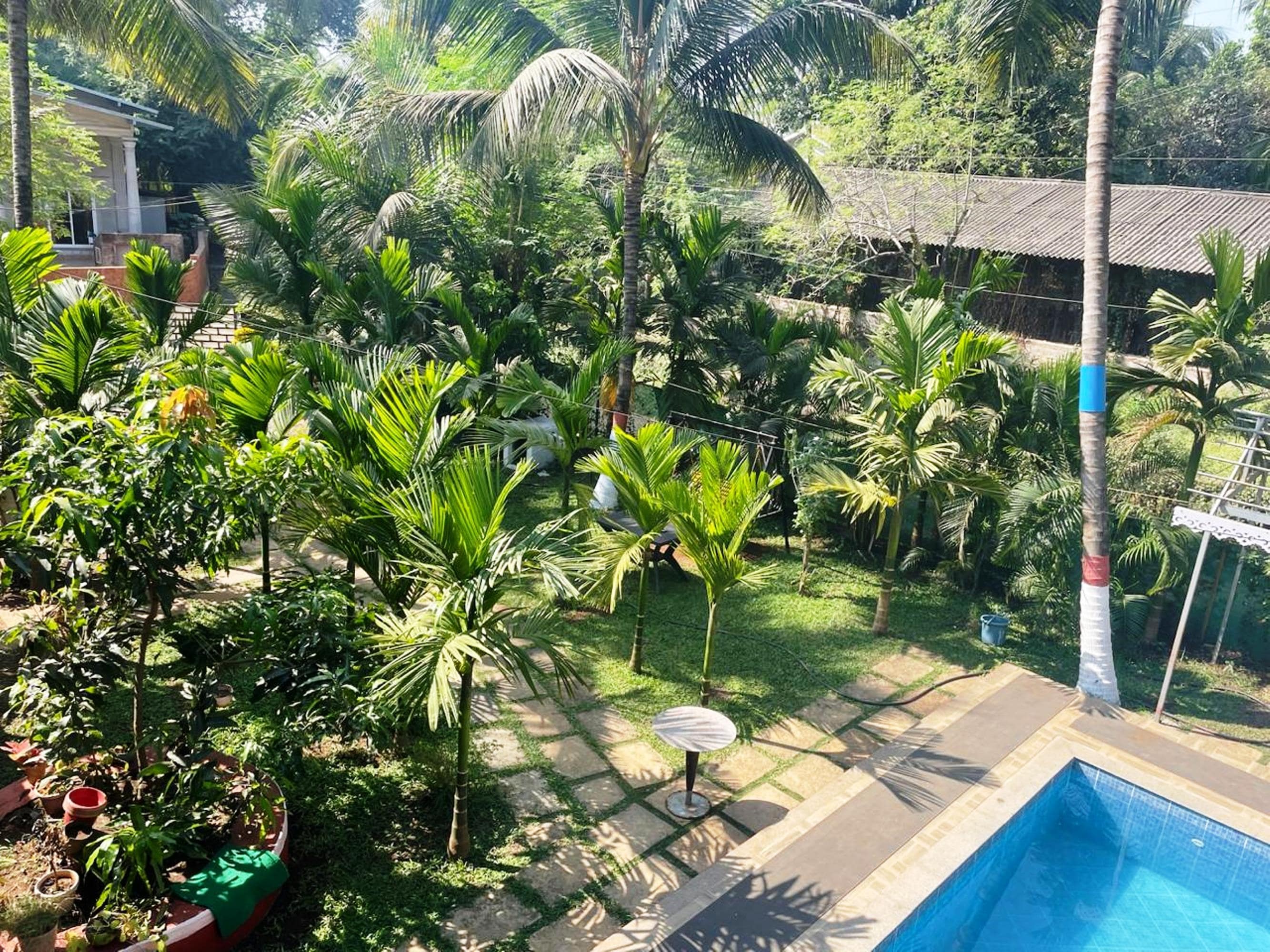 The Palm Paradise Villa - Tap to explore photos