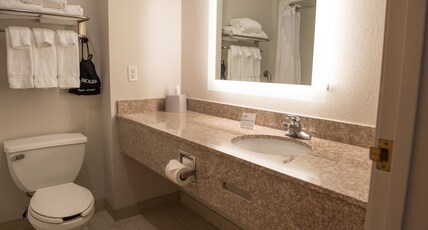 Holiday Inn Express & Suites ELKHART-SOUTH Room Type - 1 King Stndrd Mobil Acc Tub