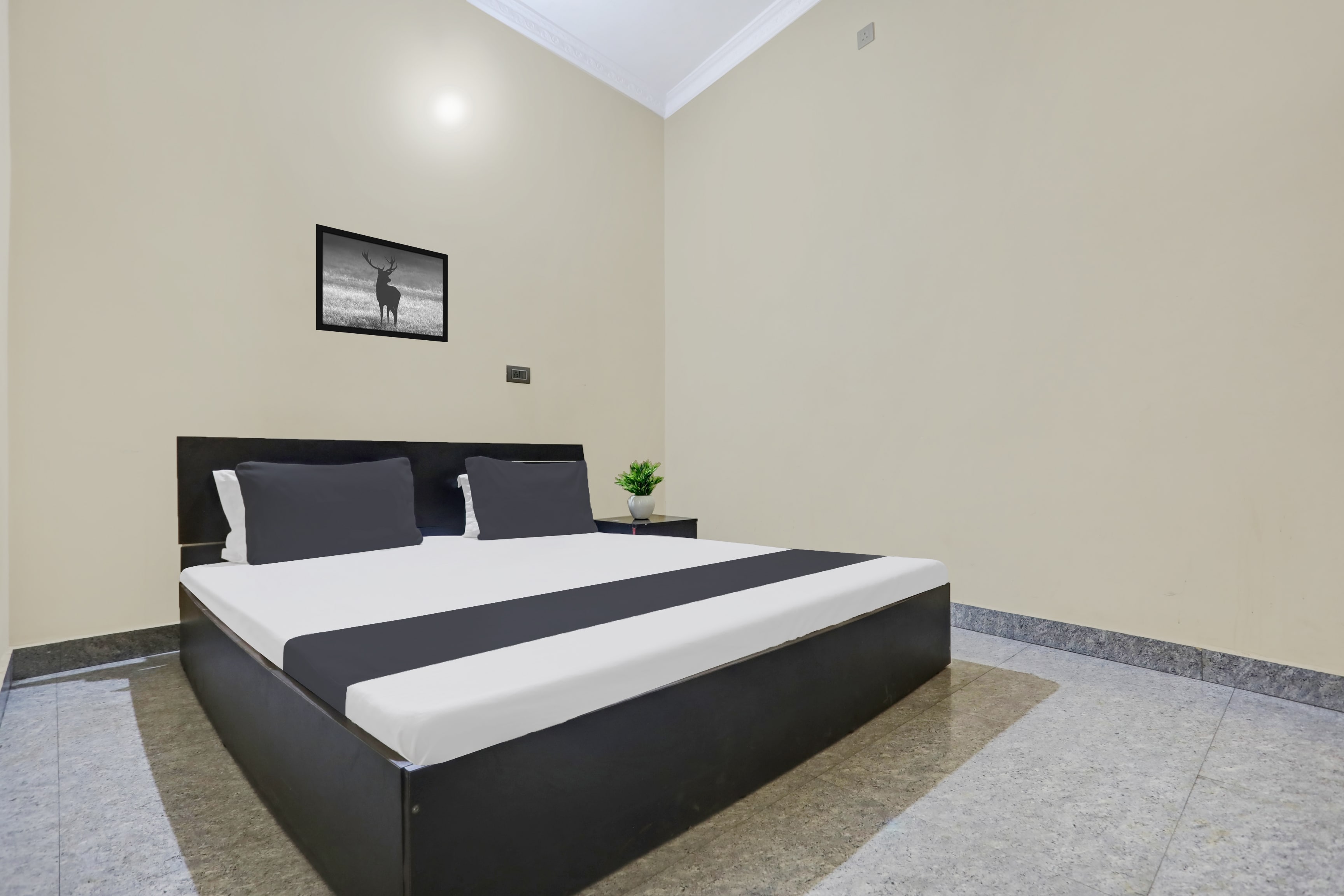 Hotel O Mayur Residency Inn - Tap to explore photos
