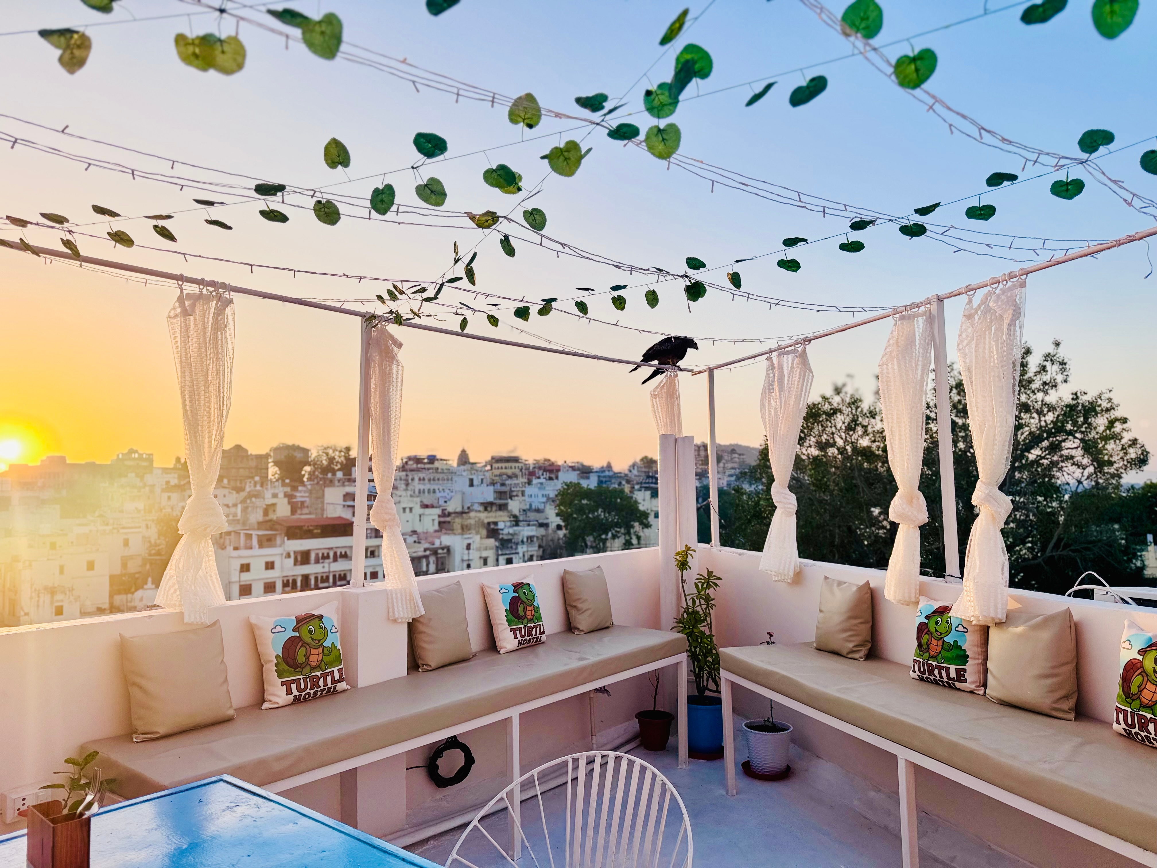 Turtle Hostel Udaipur |50 Metres from Lake - Tap to explore photos