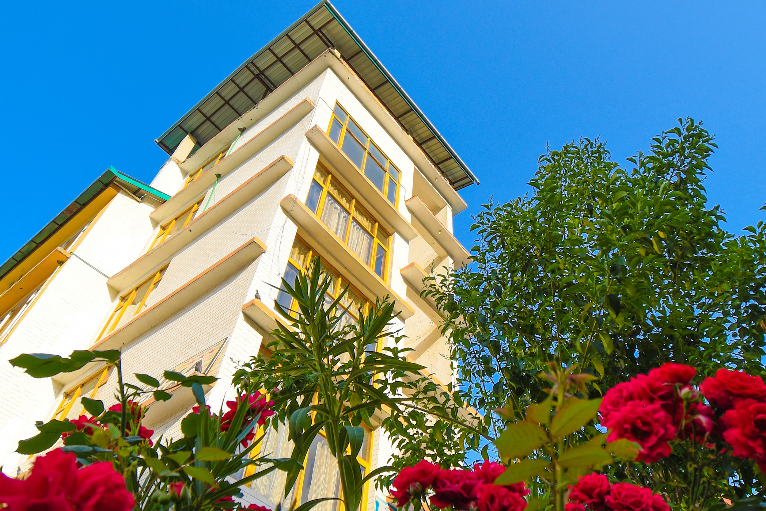 New Ambika International Mall Road Hotel - Tap to explore photos