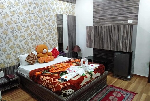Hotel mohini palace 