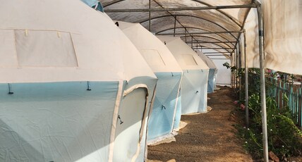 Lake N Trails Exotic Glamping Room Type - Bedroom 4