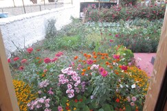 NEW MOON GUEST HOUSE