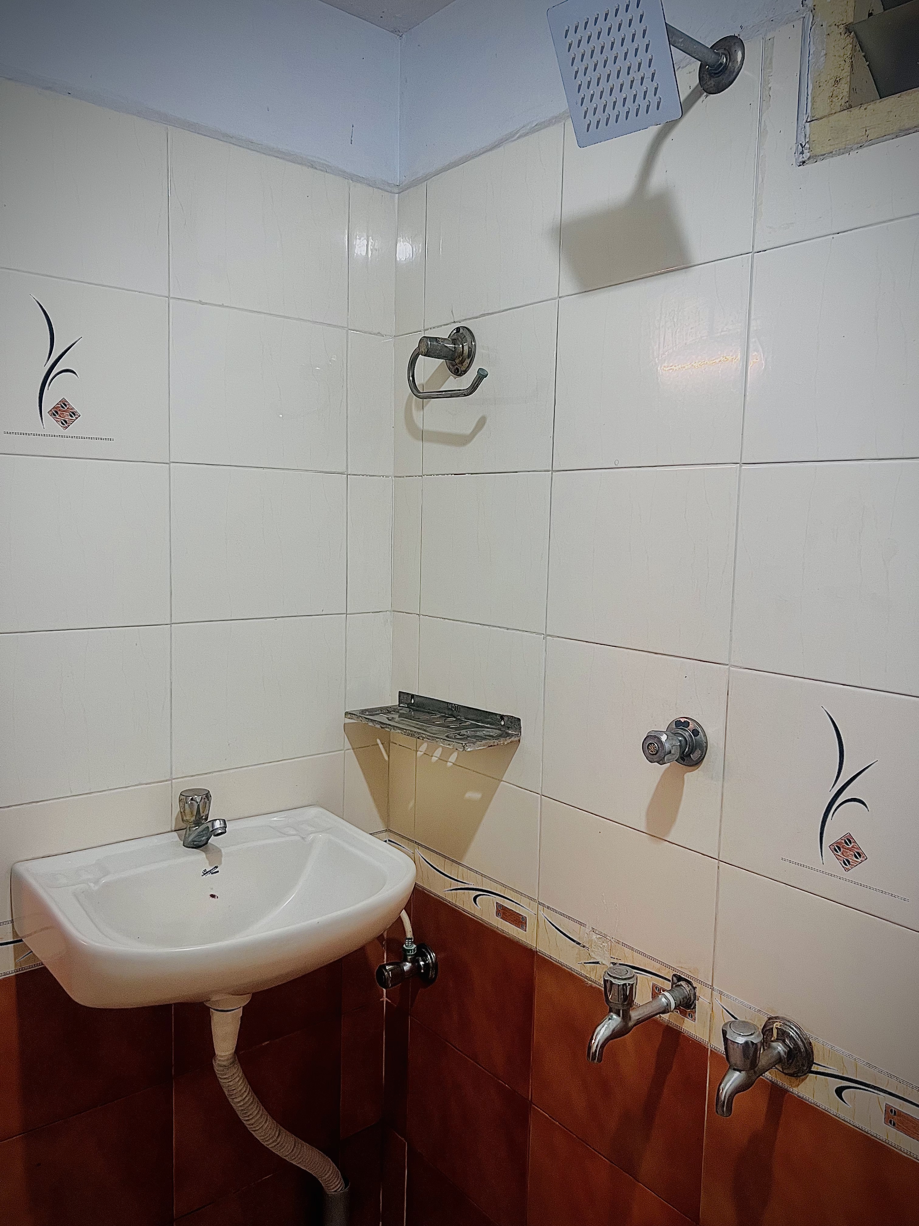 Moa - Tap to explore photos