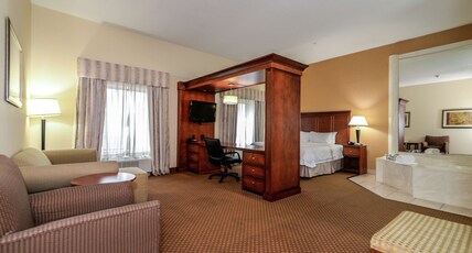 Hampton Inn & Suites Detroit/Chesterfield Township Room Type - 1 KING STE W WHIRLPOOL NS