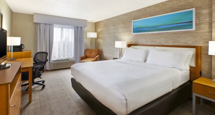Holiday Inn Hotel & Suites BOLINGBROOK Room Type - 1 King Standard