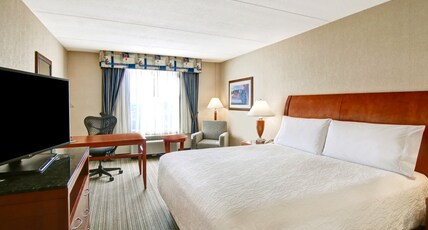 Hilton Garden Inn Toronto/Burlington Room Type - 1 KING BED