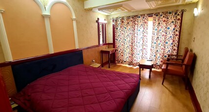 Hotel Shah Abbas Palace  Dal View Room Type - Standard Room - Mountain View (Heating Electric Blanket)