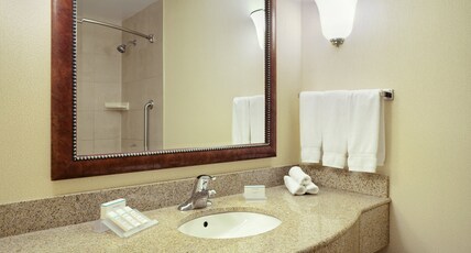 Hilton Garden Inn Toronto/Burlington Room Type - 1 KING BED WITH WHIRLPOOL