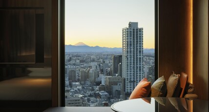 Hyatt Regency Tokyo Room Type - 1 KING BED, PARK VIEW STUIDO