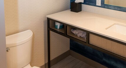 Hilton Garden Inn Mattoon Room Type - 2 QUEEN BEDS