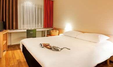 ibis Ulm City Room Type - Standard Room with 1 double bed