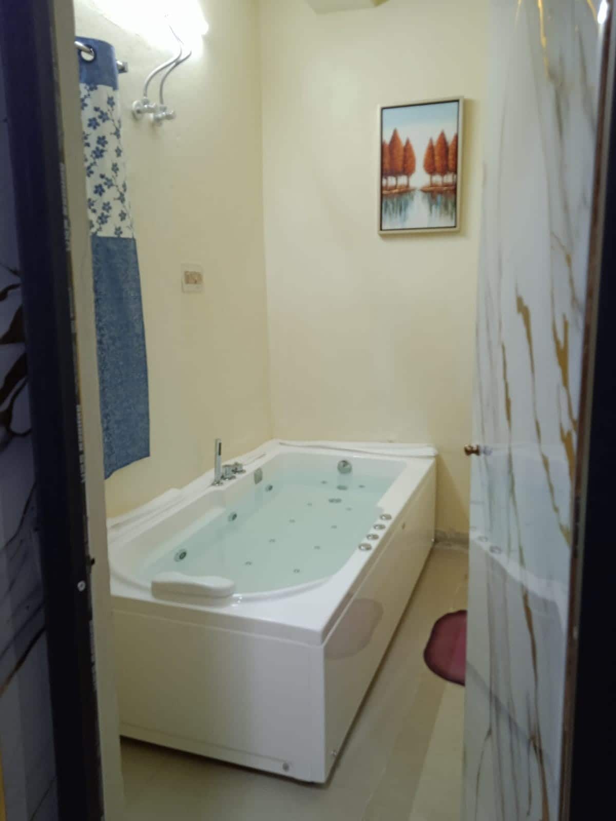 Peacenest | Entire Studio Apartment With Jacuzzi | On Niladri Vihar Road - Tap to explore photos