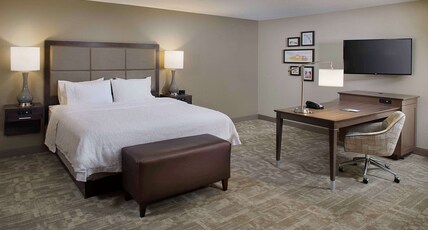 Hampton Inn Garden City Room Type - 1KNG STUDIO SOFABED NOSMOK