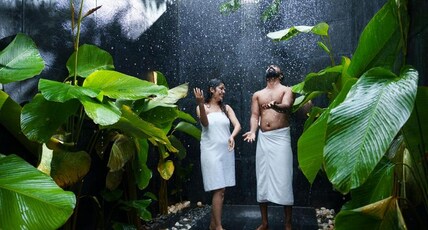 Eden Woods Room Type - Misty Cabin (Open Shower)